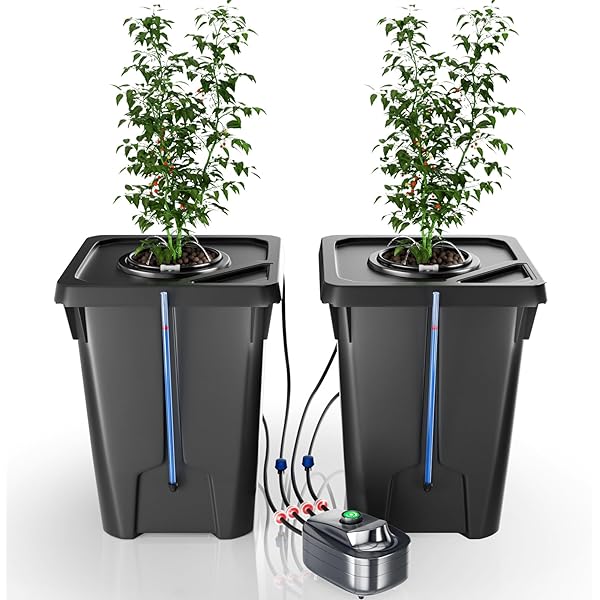 2 Buckets DWC Hydroponics Grow System with Top Drip Kit, 7 Gallon Deep Water Culture with Air Pump, Air Stone, Air Hose, Recirculating Drip Garden System