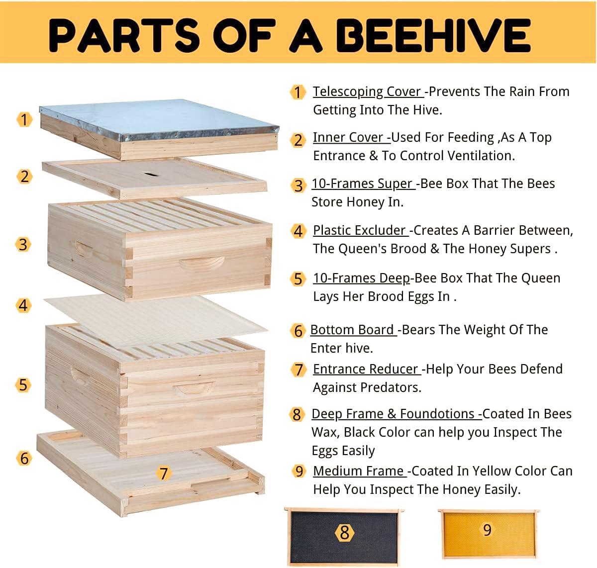 ANTUONY Bee Hive 10-Frame Beehive Starter Kit, Honey Bee Hives includes 1 Deep Bee Box 1 Medium Bee Hive Box with Beehive Frames and Beeswax Coated Foundation Sheet,Complete Beehive for Bee Keeper