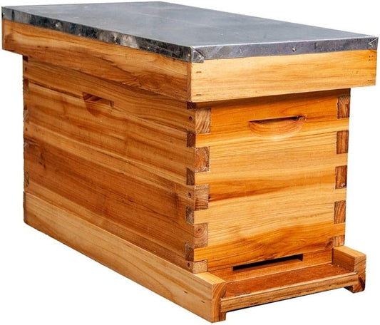 MoFund 5-Frame Nuc Beehive for Bees Complete Bee Hive Box Kit with Metal Roof Includes Wooden Frames & Waxed Foundations for Langstroth Beekeeping