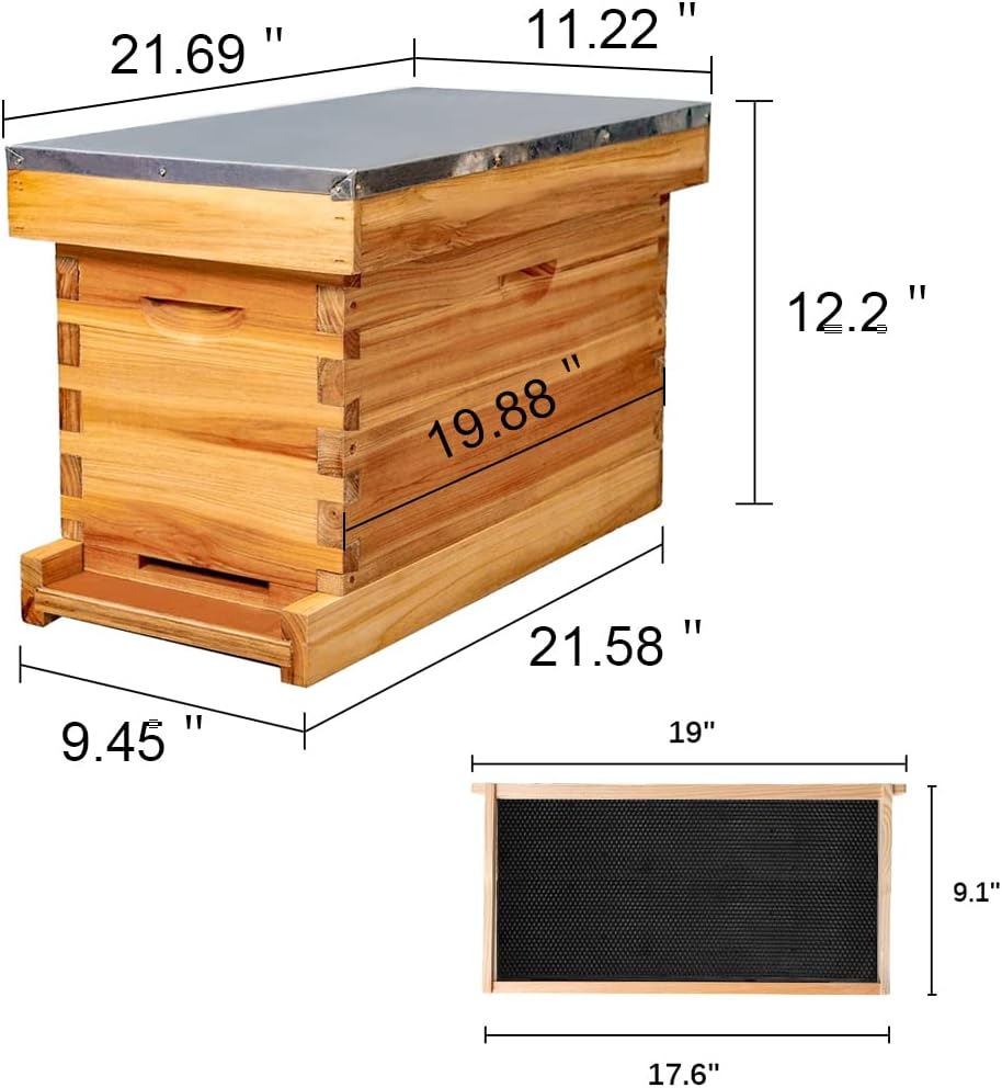 MoFund 5-Frame Nuc Beehive for Bees Complete Bee Hive Box Kit with Metal Roof Includes Wooden Frames & Waxed Foundations for Langstroth Beekeeping