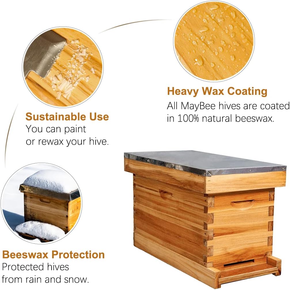 MoFund 5-Frame Nuc Beehive for Bees Complete Bee Hive Box Kit with Metal Roof Includes Wooden Frames & Waxed Foundations for Langstroth Beekeeping