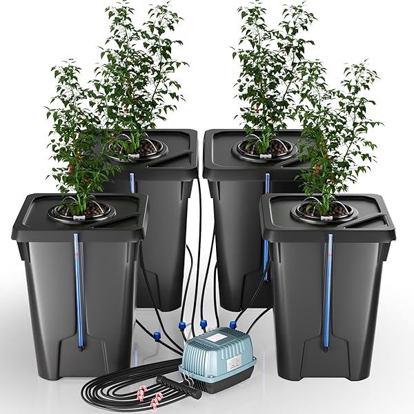 YIFOR 4 Buckets DWC Hydroponics Grow System with Top Drip Kit, 7 Gallon Deep Water Culture with Air Pump, Air Stone, Air Hose, Recirculating Drip Garden System