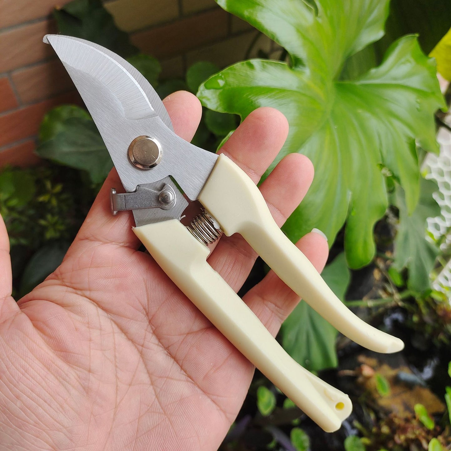 Nessxa Pruning scissors, flower and grass trimming scissors, floristry and Gardening shears